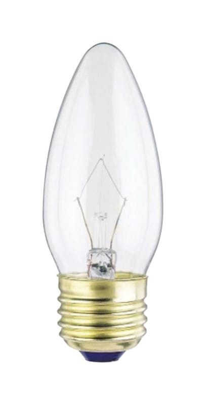 Westinghouse 25 W B11 Decorative Incandescent Bulb E26 (Medium) Warm ...