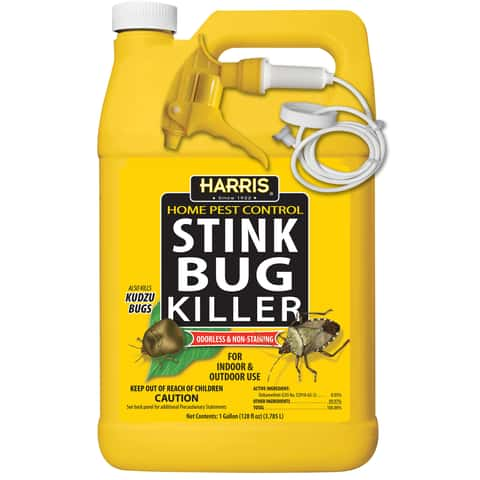 Harris® Super Sized Fly Sticky Traps