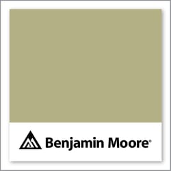 Benjamin Moore Ivy Lane 523