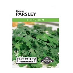 Lake Valley Seed Parsley Seeds