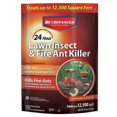  Rockwell Invict Blitz Ant Granules for Crazy Ants and More! :  Patio, Lawn & Garden