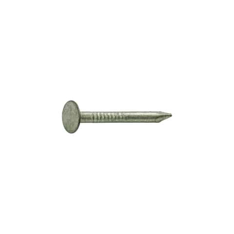 Ace 2-1/2 in. Roofing Hot-Dipped Galvanized Steel Nail Large Head 5 lb