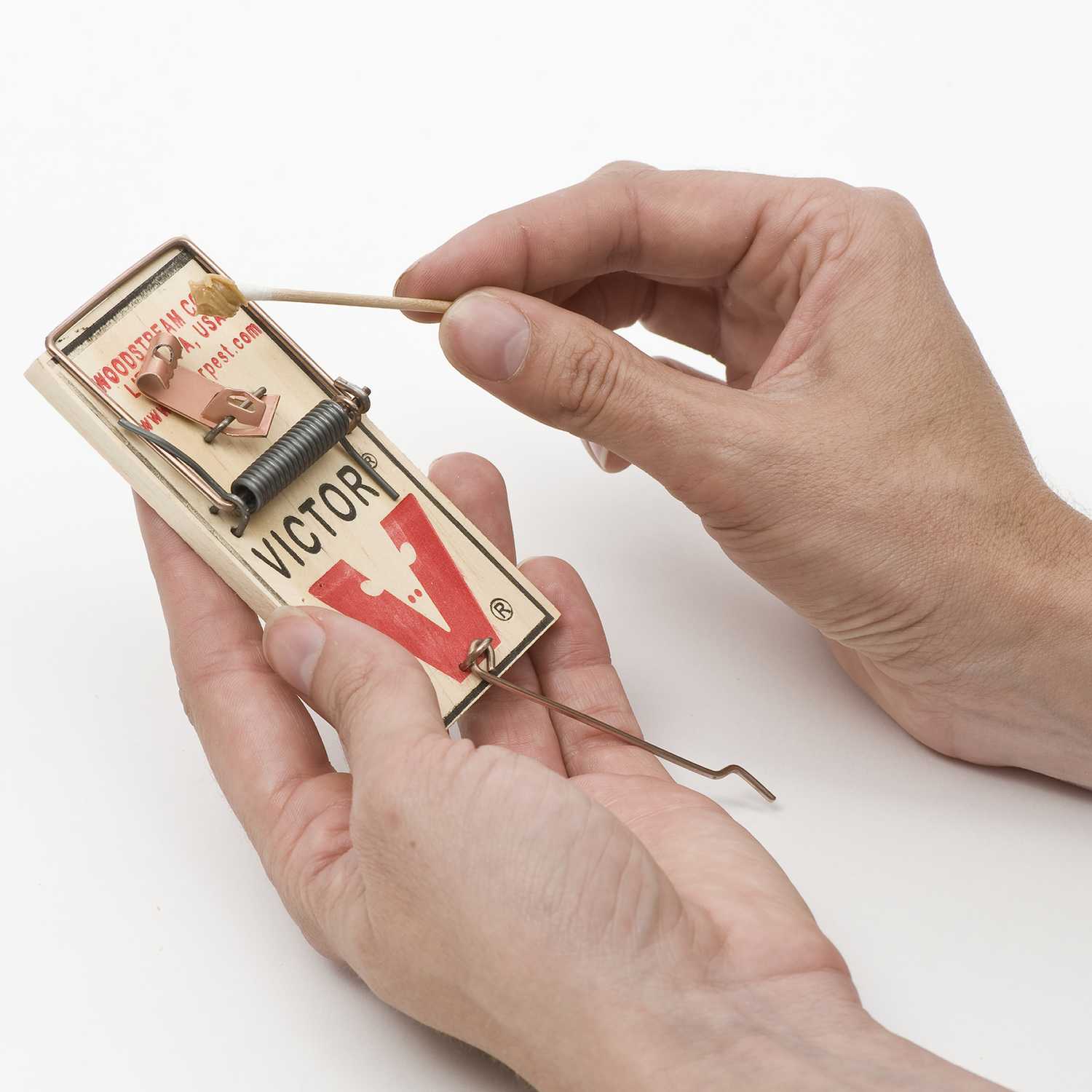 Victor Snap Trap For Mice 2 pk Ace Hardware