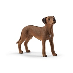 Schleich Farm World Rhodesian Ridgeback Toy Brown