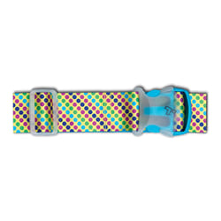 Travelon Multicolored Luggage Strap