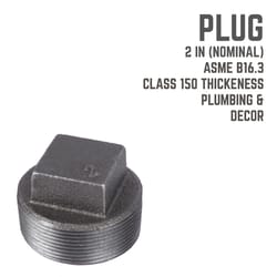 STZ Industries 2 in. MIP each Black Malleable Iron Plug