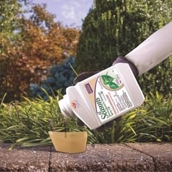 Bonide All seasons Organic Horticultural Spray Oil Liquid Concentrate 16 oz