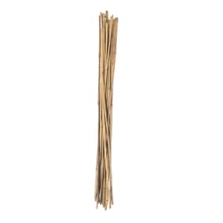 Panacea 60 in. H Brown Bamboo Plant Stake