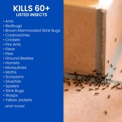 BioAdvanced Ready-to-Use, Home Insect Killer Liquid 24 oz