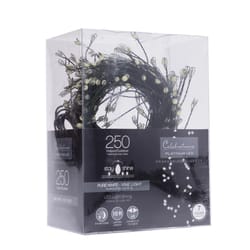 Celebrations Platinum LED Big Seed Cluster Pure White 250 ct String Christmas Lights 10 ft.