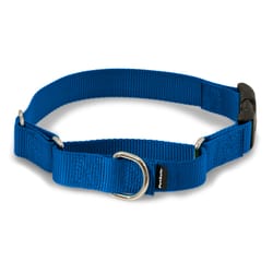 PetSafe Royal Blue Martingale Nylon Dog Collar Medium