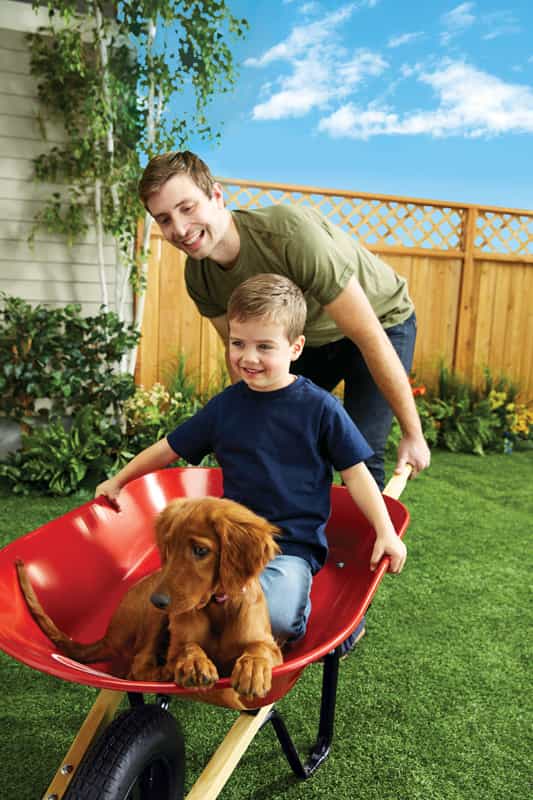 Ace Steel Residential Wheelbarrow Ace Hardware