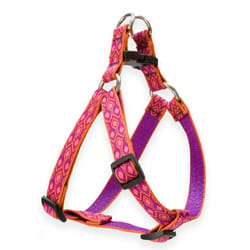 LupinePet Original Designs Multicolor Alpen Glow Nylon Dog Harness