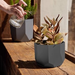 Bloem Tuxton 5 in. H X 6 in. W X 6 in. D X 6 in. D Resin Planter Charcoal