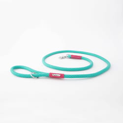 ZippyPaws Teal Mod Essential Poly Dog Leash