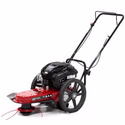 Toro lawn mowers at best sale ace hardware