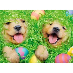 Avanti Press Seasonal Puppies in Easter Basket Easter Card Paper 2 pc