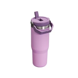 Stanley IceFlow 30 oz Lilac BPA Free Insulated Straw Tumbler