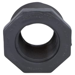 Charlotte Pipe Schedule 80 1-1/2 in. MPT X 1 in. D FPT PVC 7 in. Reducing Bushing 1 pk