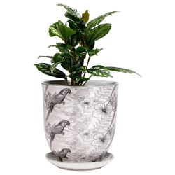 Chive Liberte 4.25 in. D Ceramic Flower Pot Grey Parrot