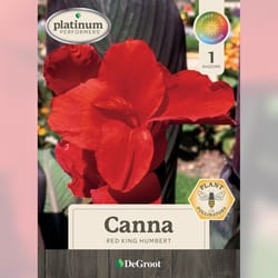 DeGroot Canna Bulb 1 pk