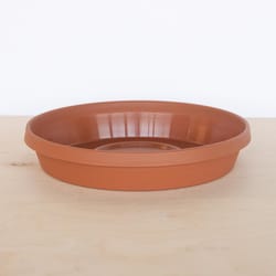 Bloem TerraTray 1.7 in. H X 10 in. D Resin Traditional Plant Saucer Terracotta Clay