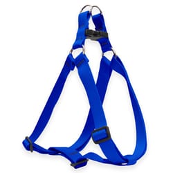 Lupine Pet Basic Solids Blue Blue Nylon Dog Harness