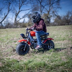 Viper Unisex Mini Bike Red