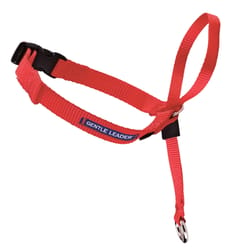 PetSafe Gentle Leader Red Nylon Dog Training Leash Medium