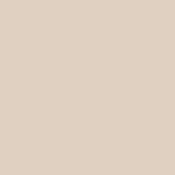 Samplize Benjamin Moore Manchester Tan Peel & Stick Color Sample HC-81