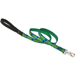 LupinePet Original Designs Multicolor Tail Feathers Nylon Dog Leash