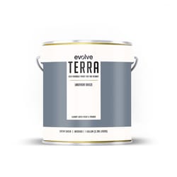 Evolve Terra Satin Lakefront Breeze Paint and Primer Interior 1 gal