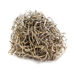 SuperMoss Spanish Moss 200 cu in