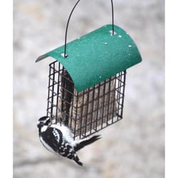 Songbird Essentials Songbird 2 each Metal Suet Feeder Cage