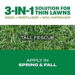 Scotts Turf Builder Tall Fescue Grass Sun or Shade Grass Seed and Fertilizer 12 lb