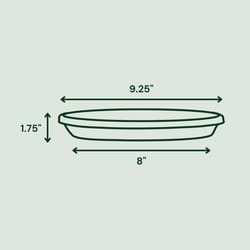 Bloem Terra 1.75 in. H X 9.25 in. W X 8 in. D Plastic Traditional Plant Saucer Green