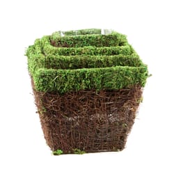 SuperMoss Deco Wire Ventura Planter Set Green