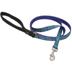 LupinePet Original Designs Multicolor Rain Song Nylon Dog Leash