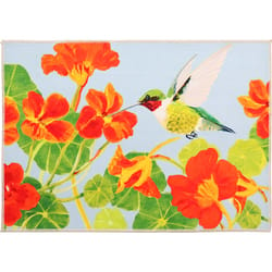 Olivia's Home 22 in. W X 32 in. L Multi-Color Nasturtiums and Ruby Throat Polyester Accent Rug