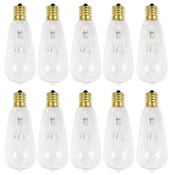 Celebrations Incandescent G40 Globe Clear/Warm White 10 ct Replacement Christmas Light Bulbs