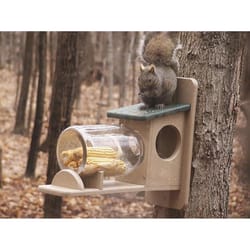 Birds Choice 3 qt Plastic Jar Squirrel Feeder 1 ports