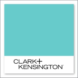 Clark+Kensington Seafoam Green 32D-3