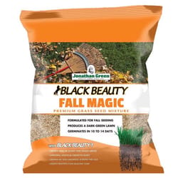 Jonathan Green Black Beauty Fall Magic All Grasses Sun or Shade Grass Seed 7 lb