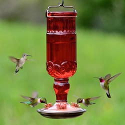 Perky-Pet Hummingbird 24 oz Copper/Glass Antique Bottle Nectar Bird Feeder 4 ports