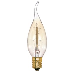 Satco 25 W A19 Specialty Incandescent Bulb E12 (Candelabra) Soft White 1 pk