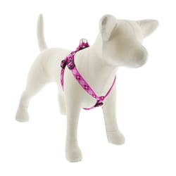 LupinePet Original Designs Multicolor Puppy Love Nylon Dog Harness