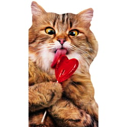 Avanti Press Seasonal Cat With Heart Lollipop Valentine's Day Card Paper 2 pc