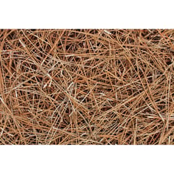 Locally Sourced Pinestraw Longleaf Bale