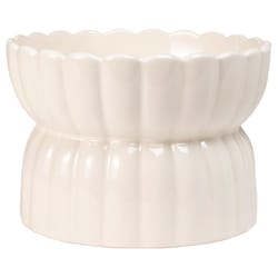 Pet Shop by Fringe Studio Ivory Ceramic 3.25 cups Pet Bowl For Dogs