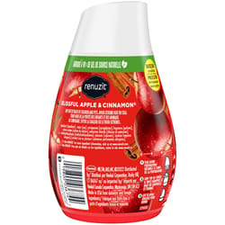 Renuzit Blissful Apple Cinnamon Scent Air Freshener 7 oz Gel 1 pk